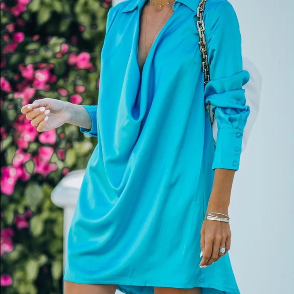 NWT VICI Silk Dress